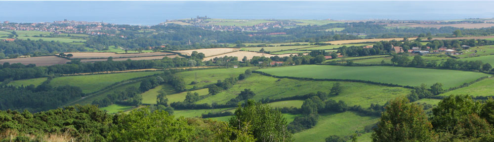 37 Cliff Street Whitby